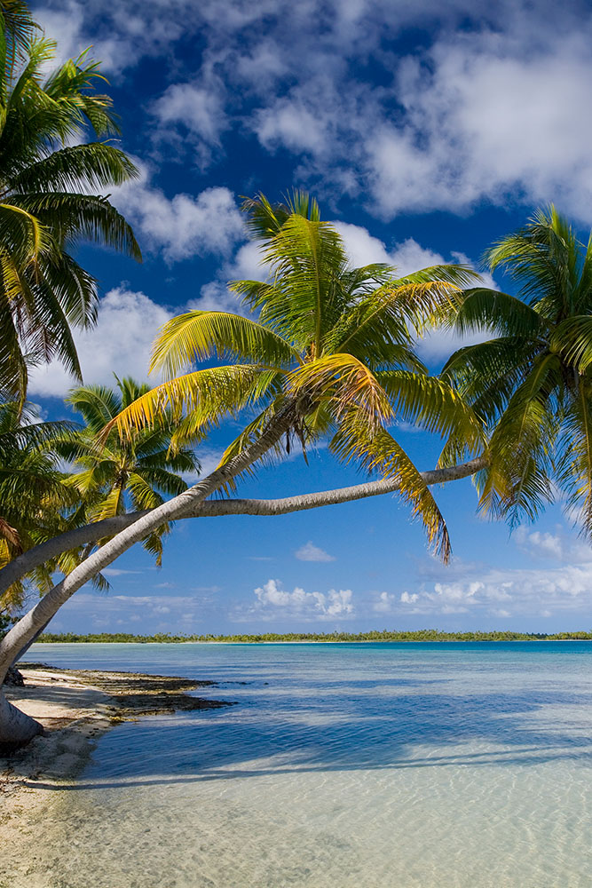 Découverte des îles Cook