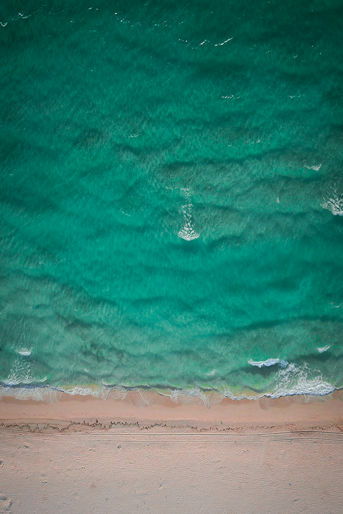 Détente sur les plages de Miami