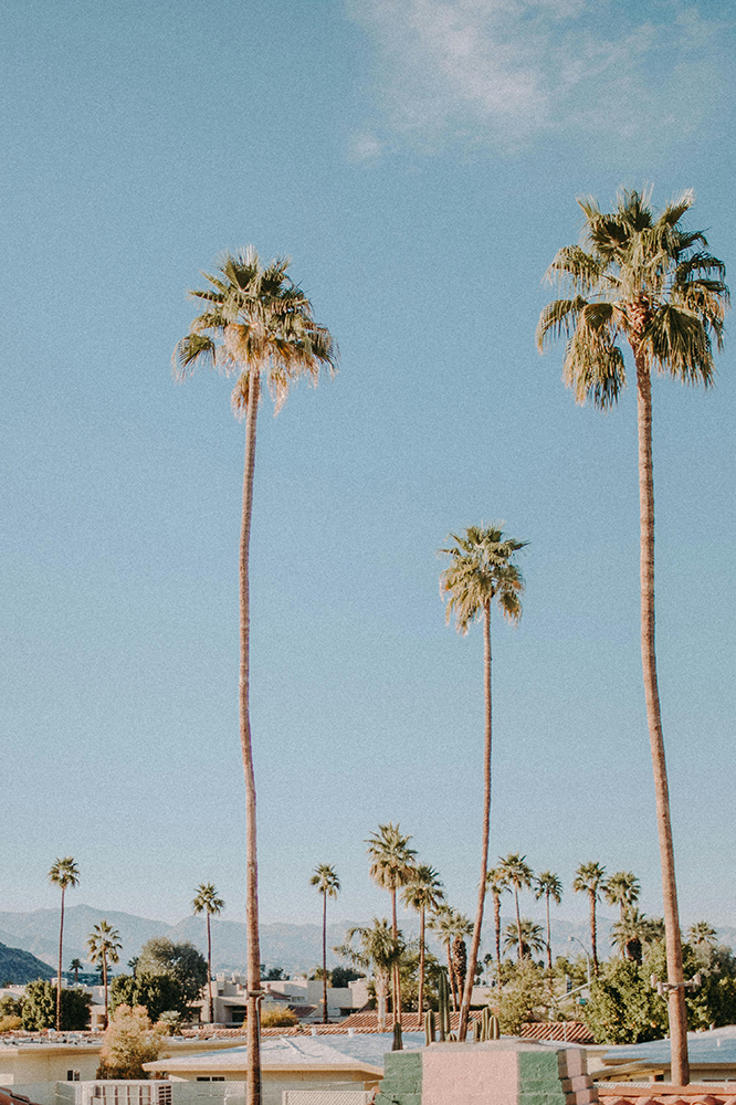 Direction Palm Springs