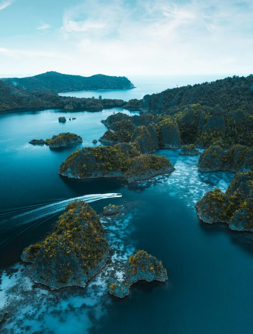 L'île de Jef Fam