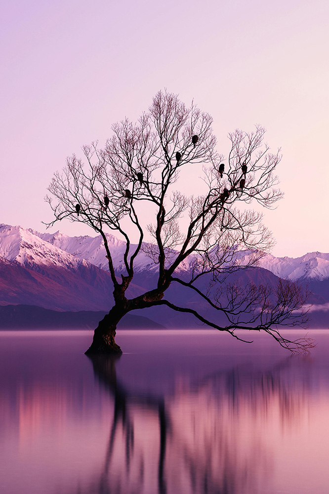 Wanaka et sa région