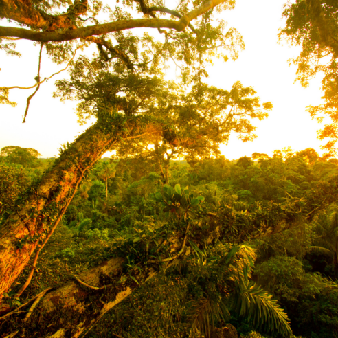 Equateur
