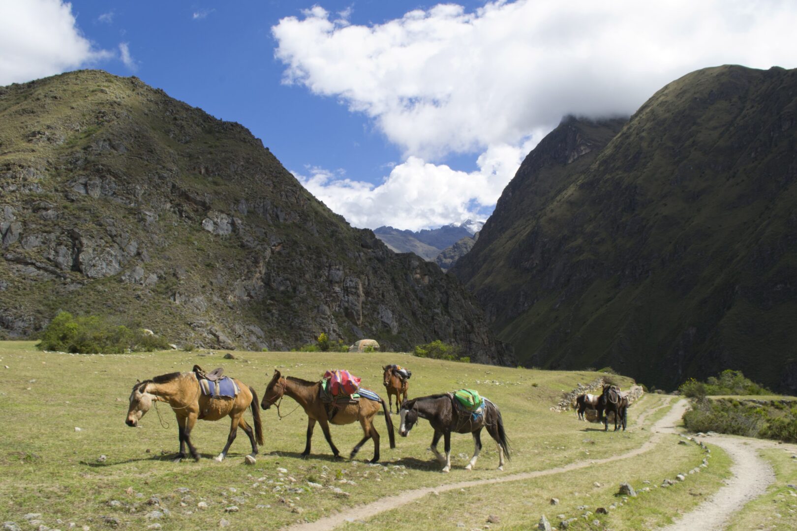 Balade à cheval dans la vallée sacrée