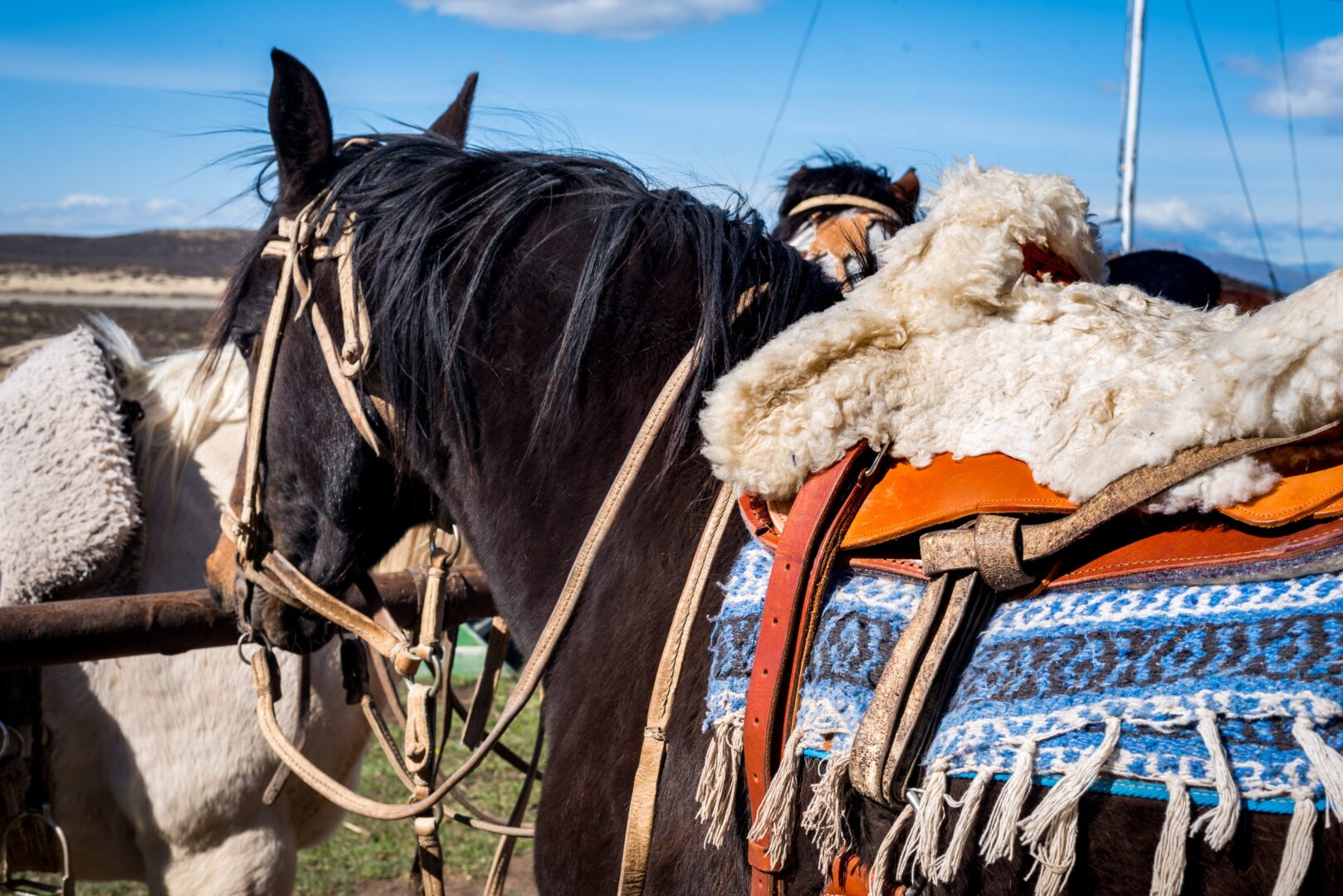 À cheval dans le parc de Los Glaciares