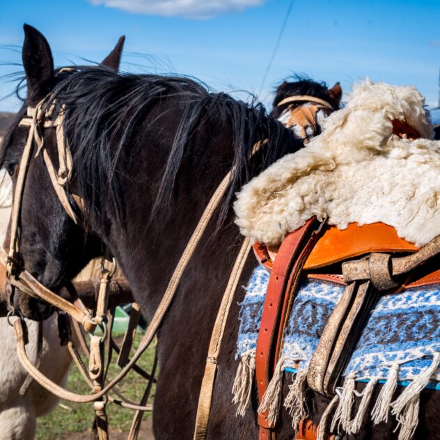Plongée dans le monde des Gauchos