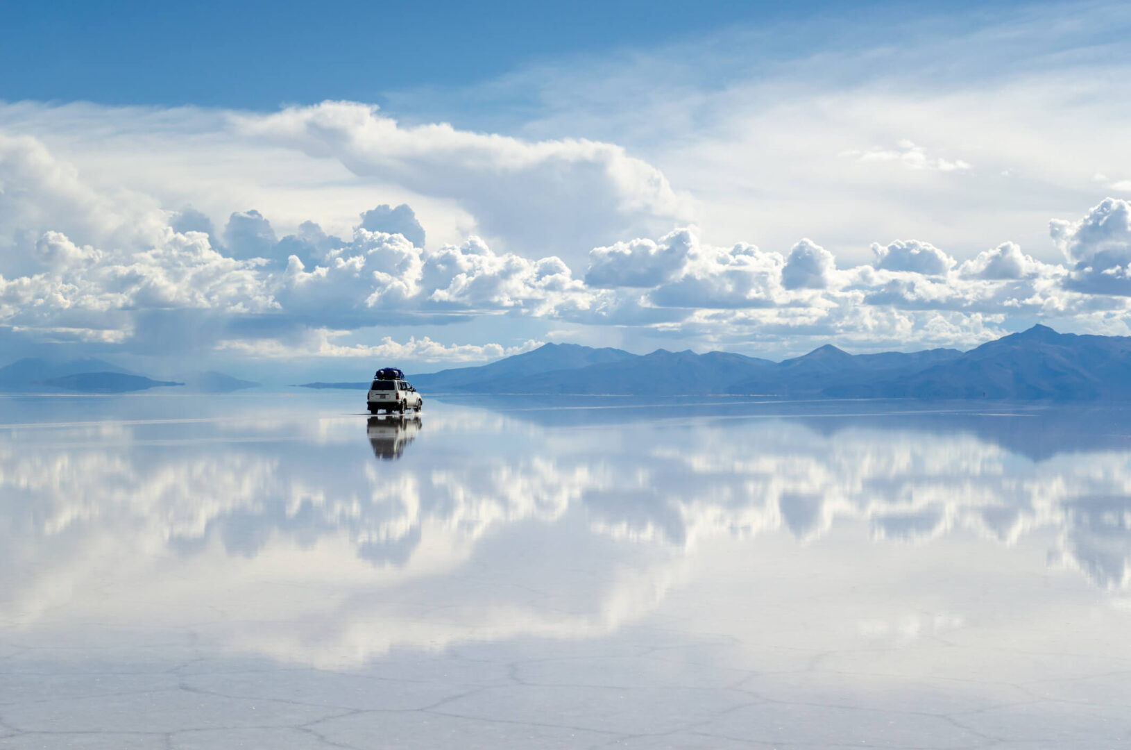 Buller sur le salar d’Uyuni