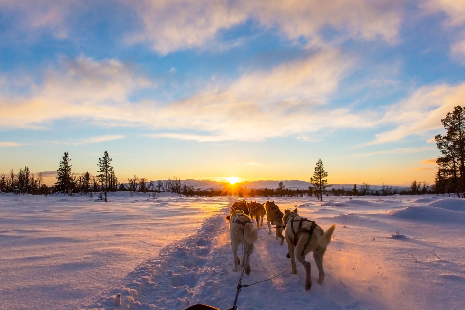 Raid sur le lac Inari, tel un musher