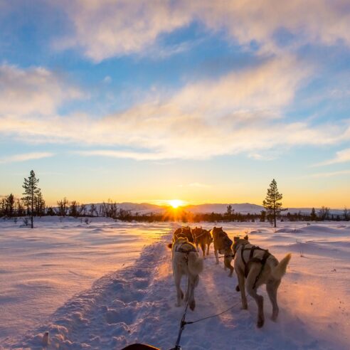 Finlande