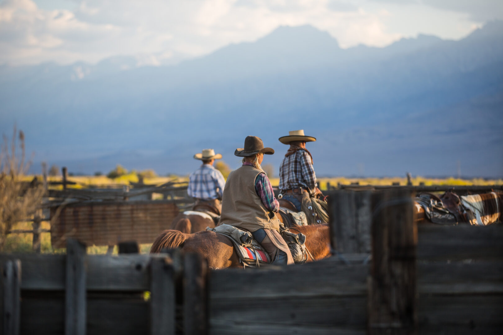 Dans la peau d’un cowboy