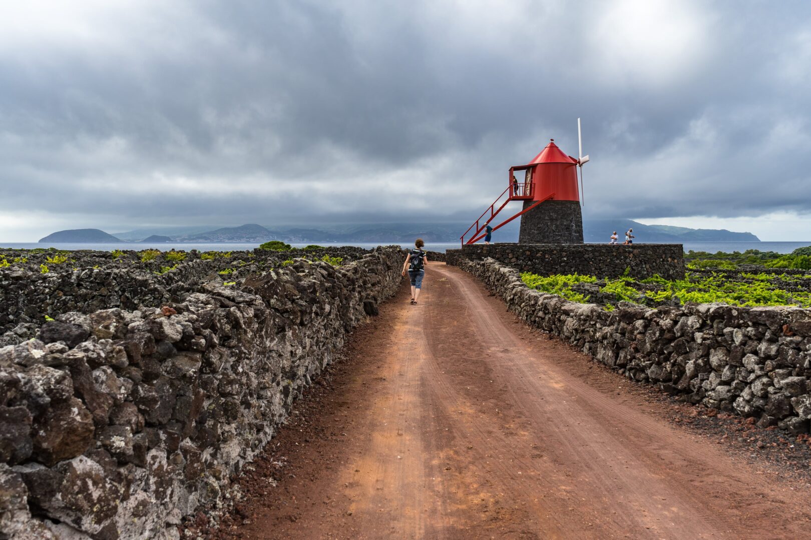 Visite des vignobles Criaçao Velha