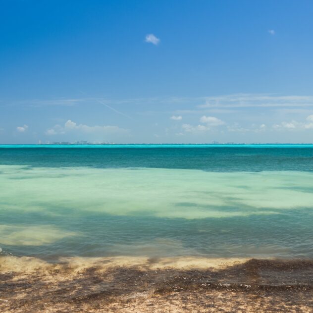 Baignade dans un cenote