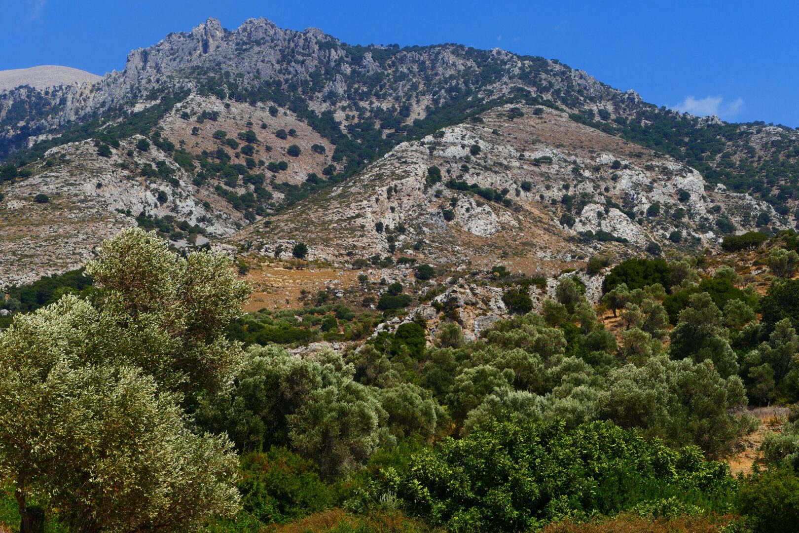 À pied sur les chemins d’Eleftherna et Arkadi