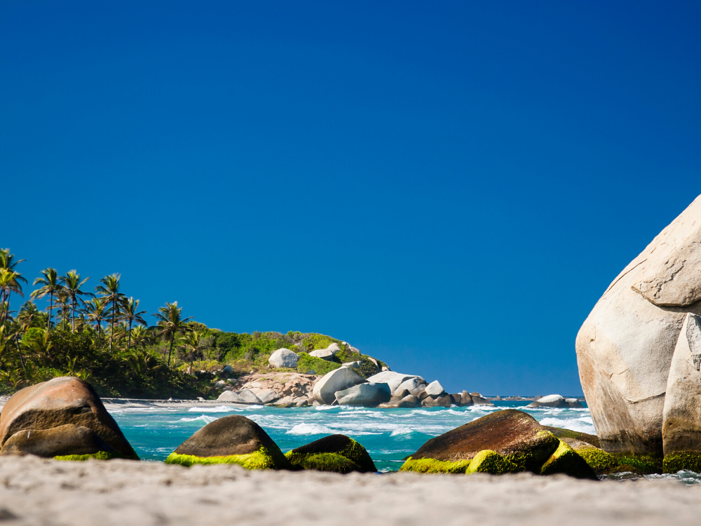 Seul sur le sable… Dans le Parc Tayrona