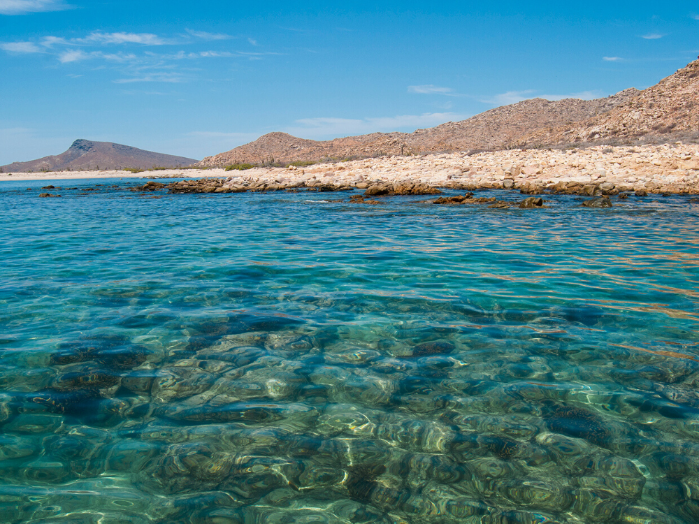 Sur une île déserte au Mexique