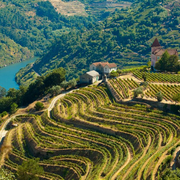 Voyage culturel dans le Nord du Portugal