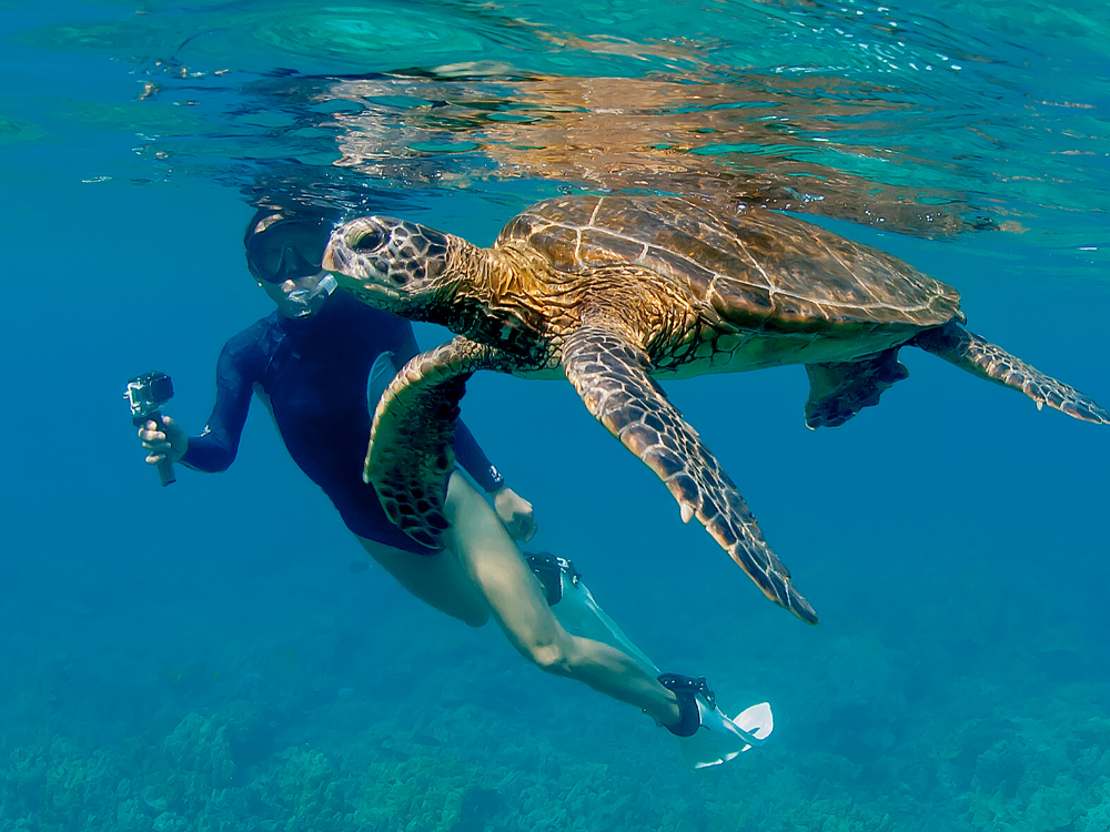 Snorkling à Isla Del Cano