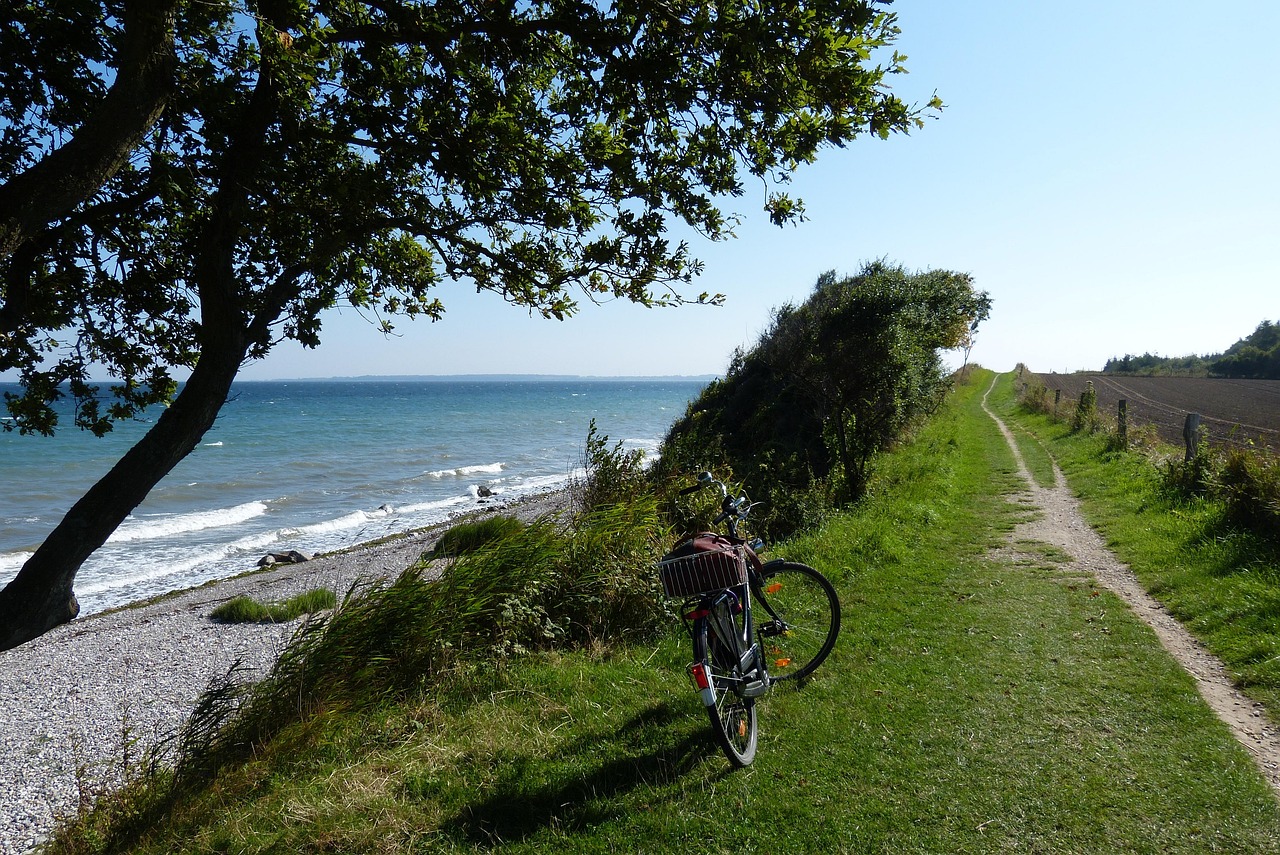 Venise côté nature : San Erasmo à vélo