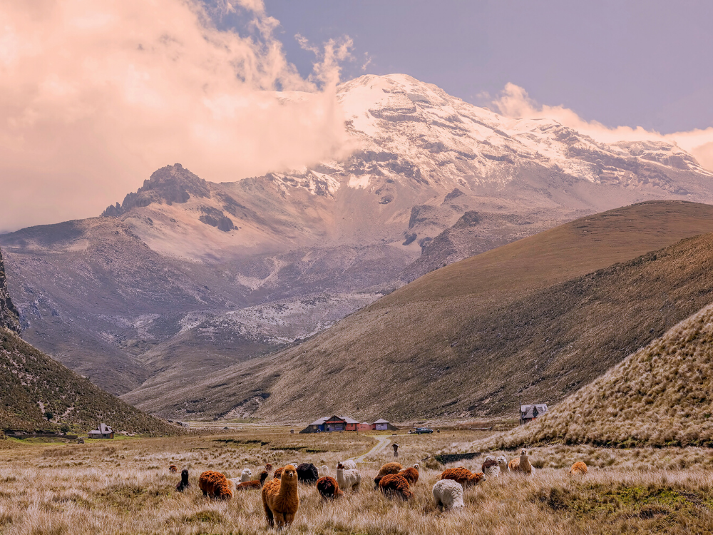 Descendre le Chimborazo en VTT