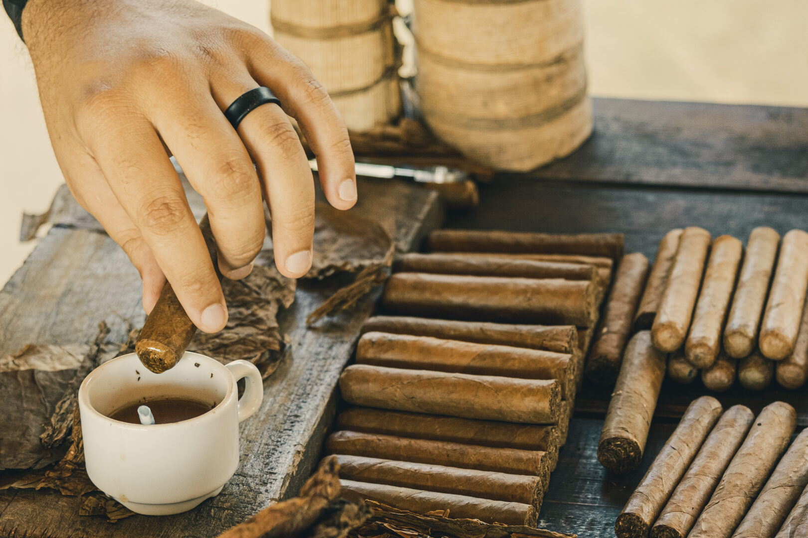 Dégustation de rhum et de cigares