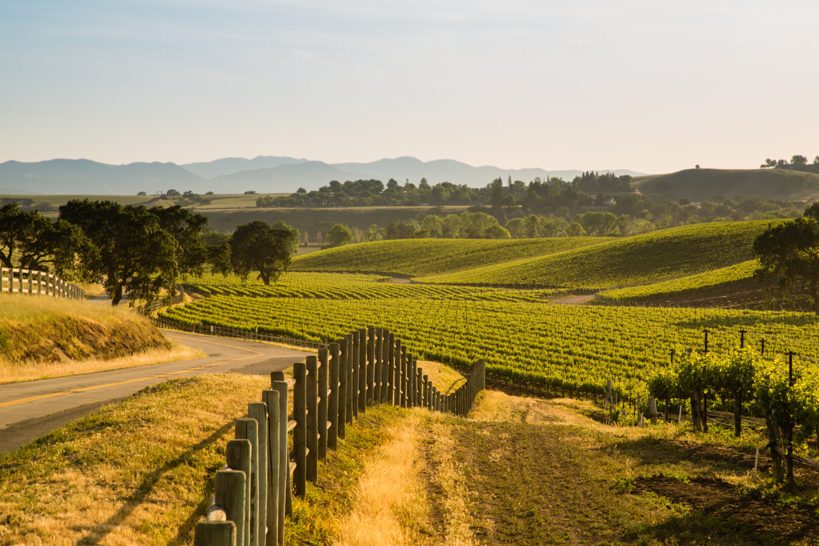 Découverte des vignobles de Santa Barbara à vélo