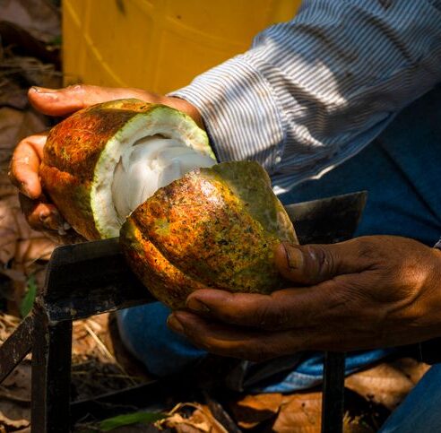 Colombie