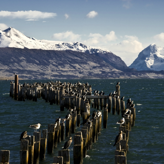 Du désert au Nord à Ushuaia à la pointe sud, en hôtels de luxe et croisière d'expédition