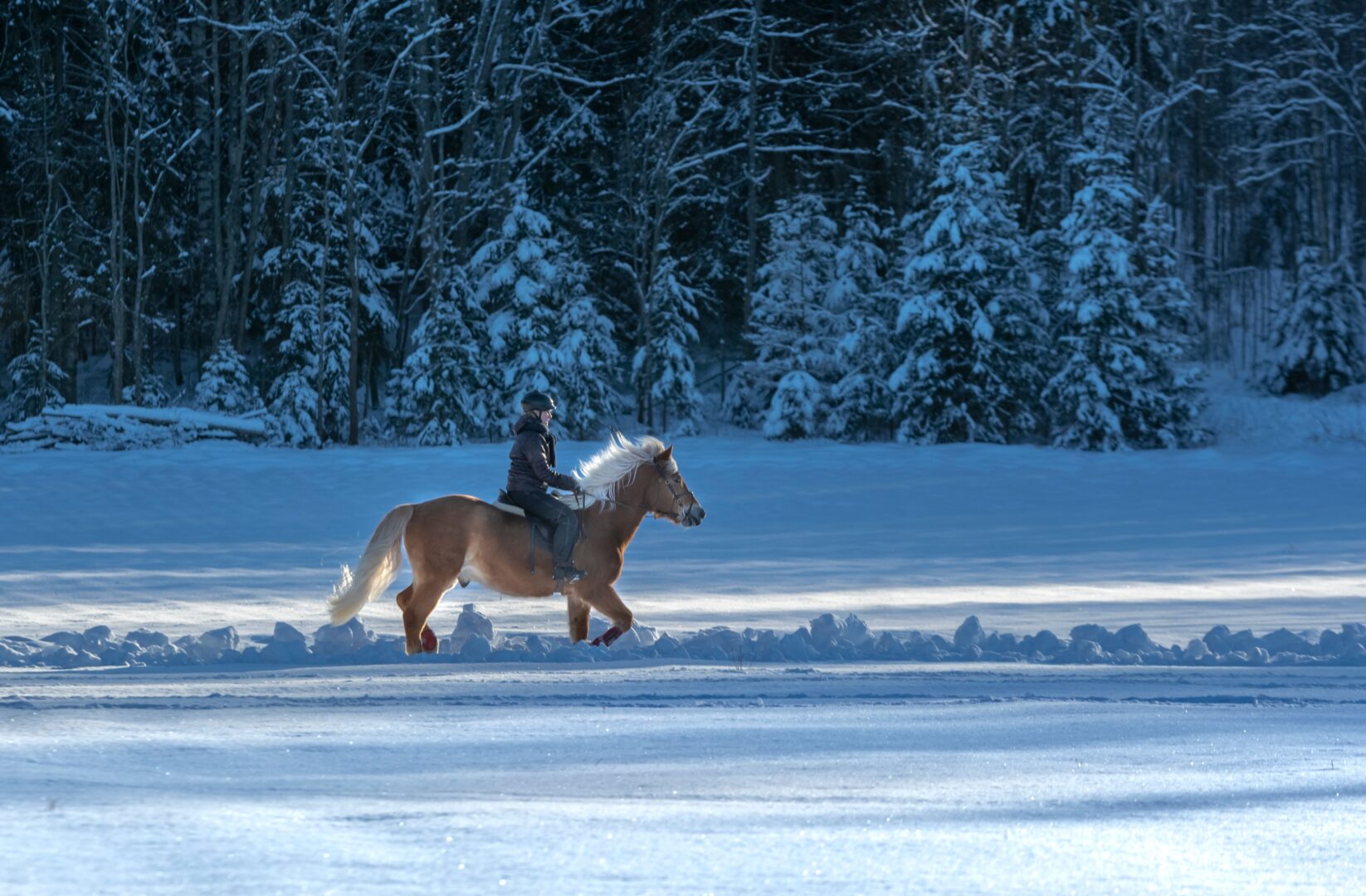 A cheval sous les aurores boréales