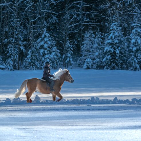 Finlande