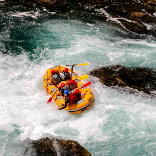 Séjour immersif avec les orques