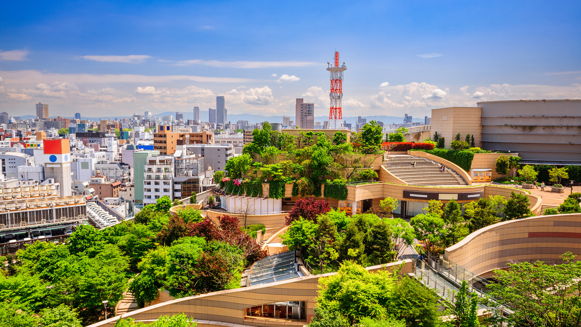 Japon 2025 : Entre tradition millénaire et innovation à l’Exposition Universelle d’Osaka