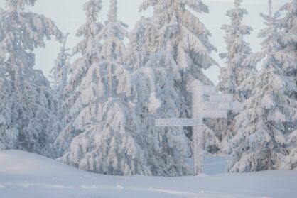 Paradis blancs