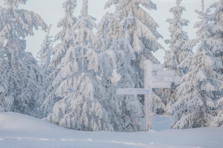 Paradis blancs