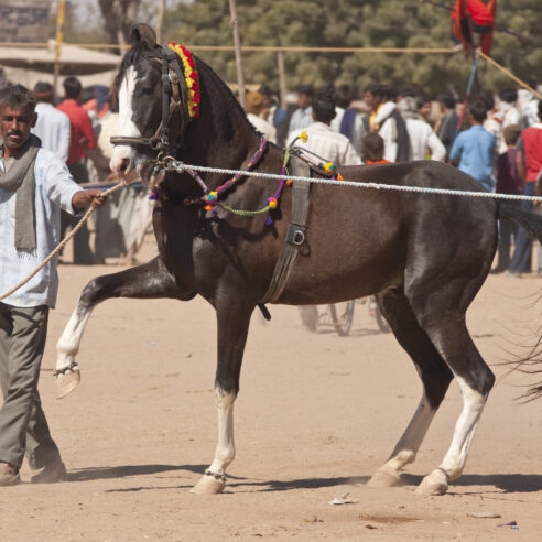 Inde