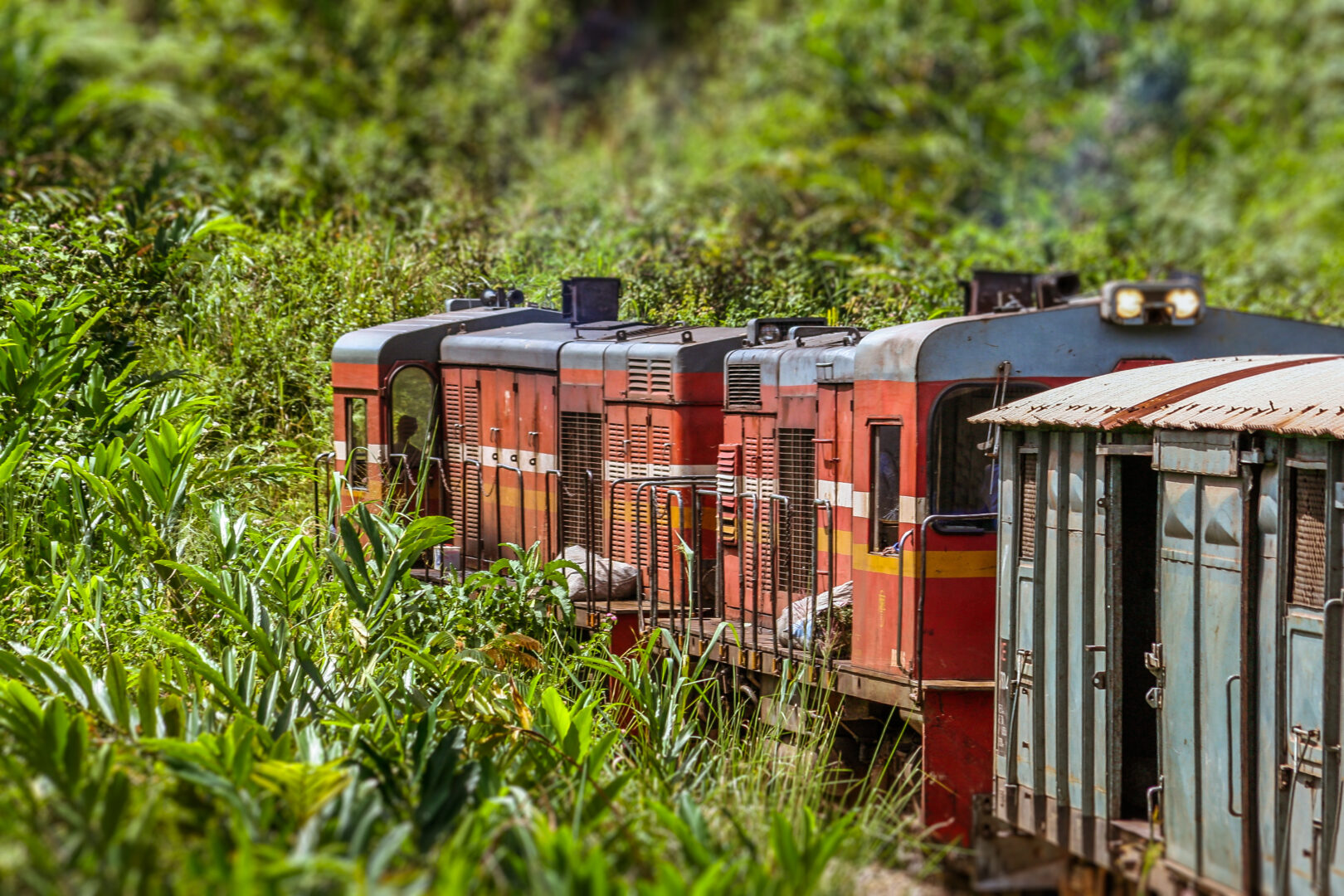 A bord du train entre Fianarantsoa et Manakara
