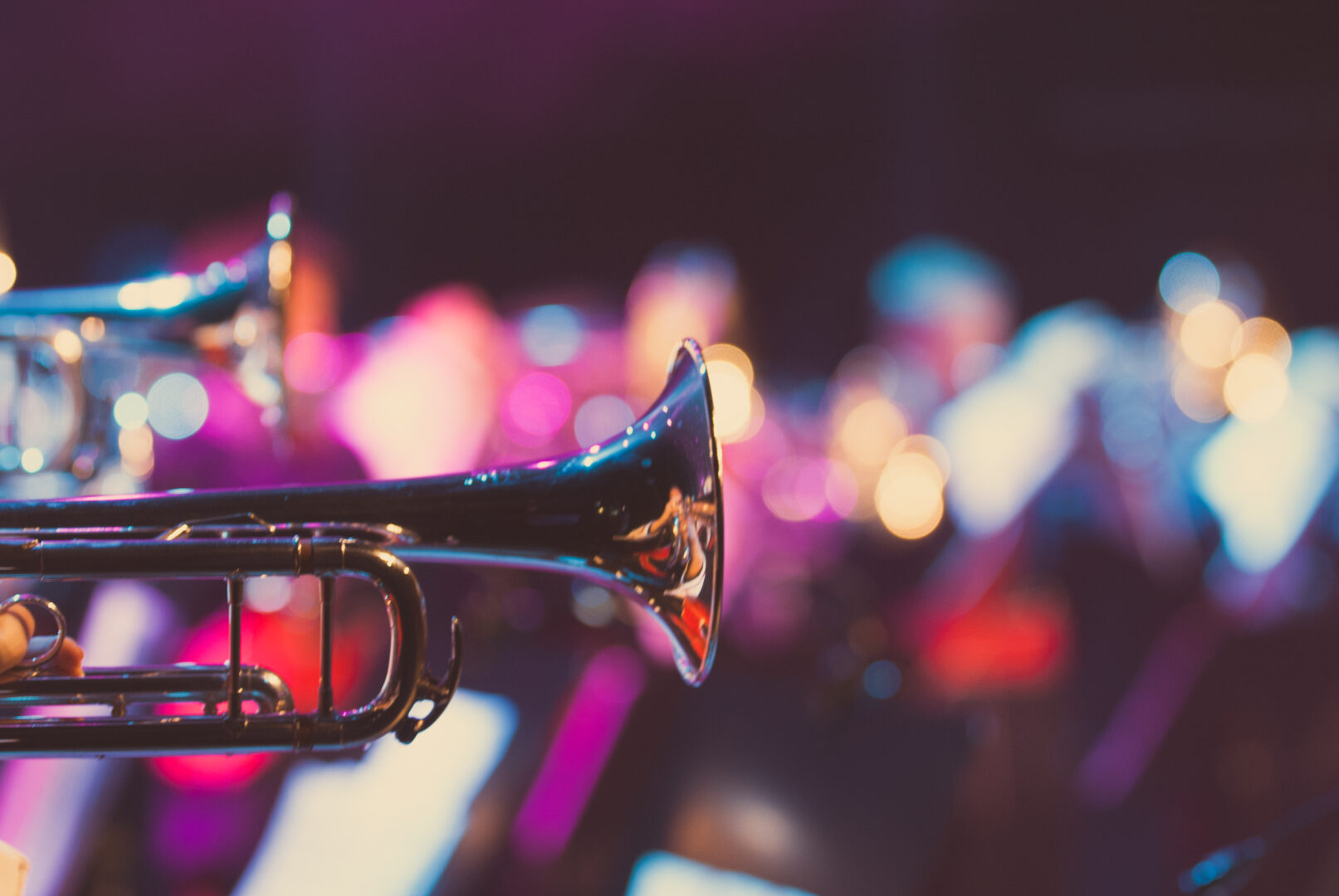 Jazz safari à Cape Town
