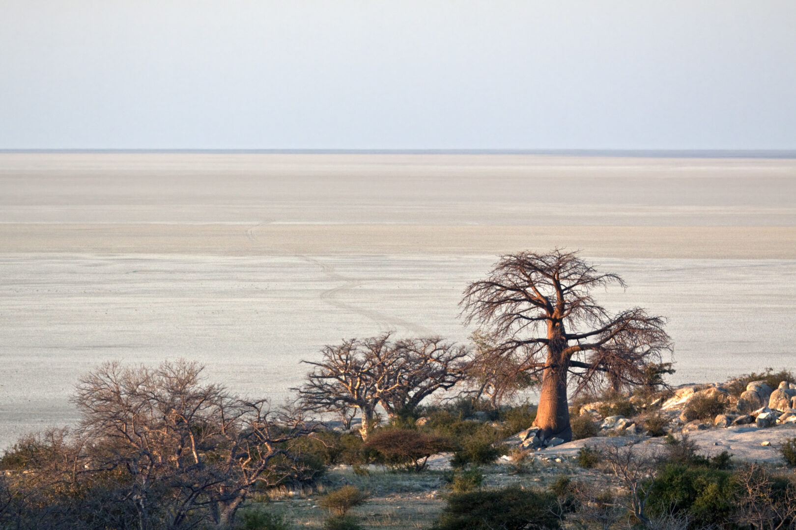 Sur les pans de Magkadikgadi 