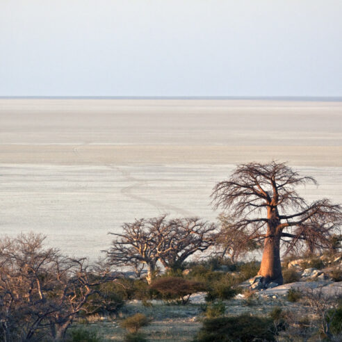Nos expériences insolites au Botswana