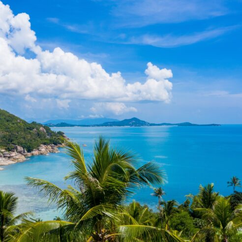 Nos expériences insolites en Thaïlande