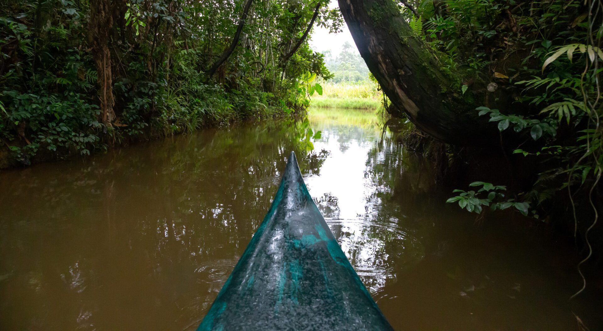 Descente en canoë