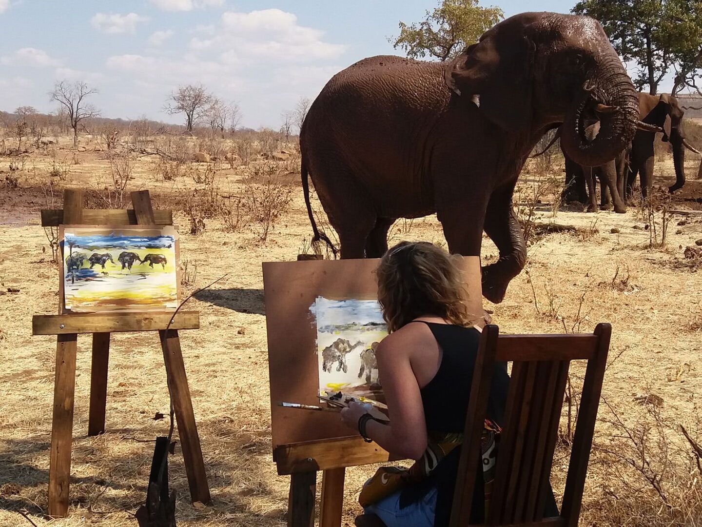 Peindre les éléphants