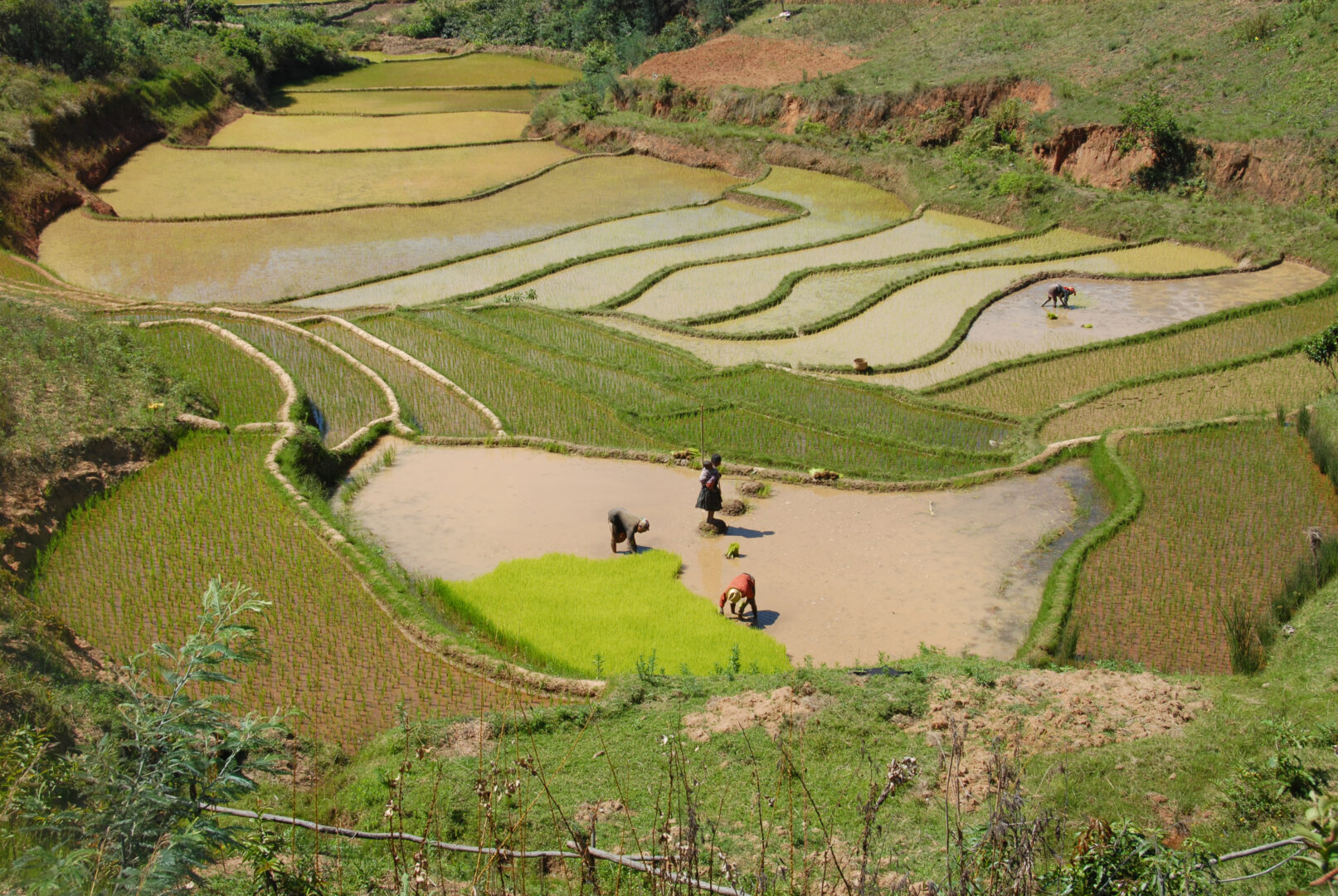 Tourisme durable : randonner à Antsirabe