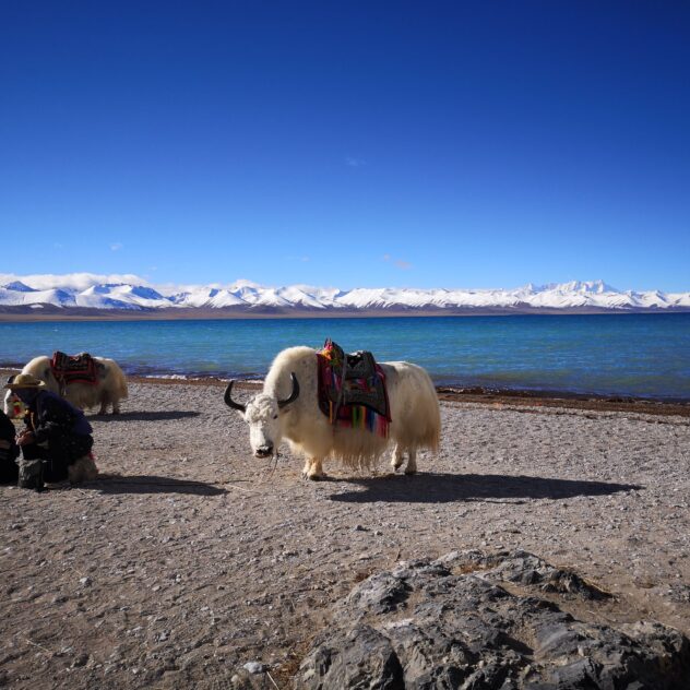 Tibet
