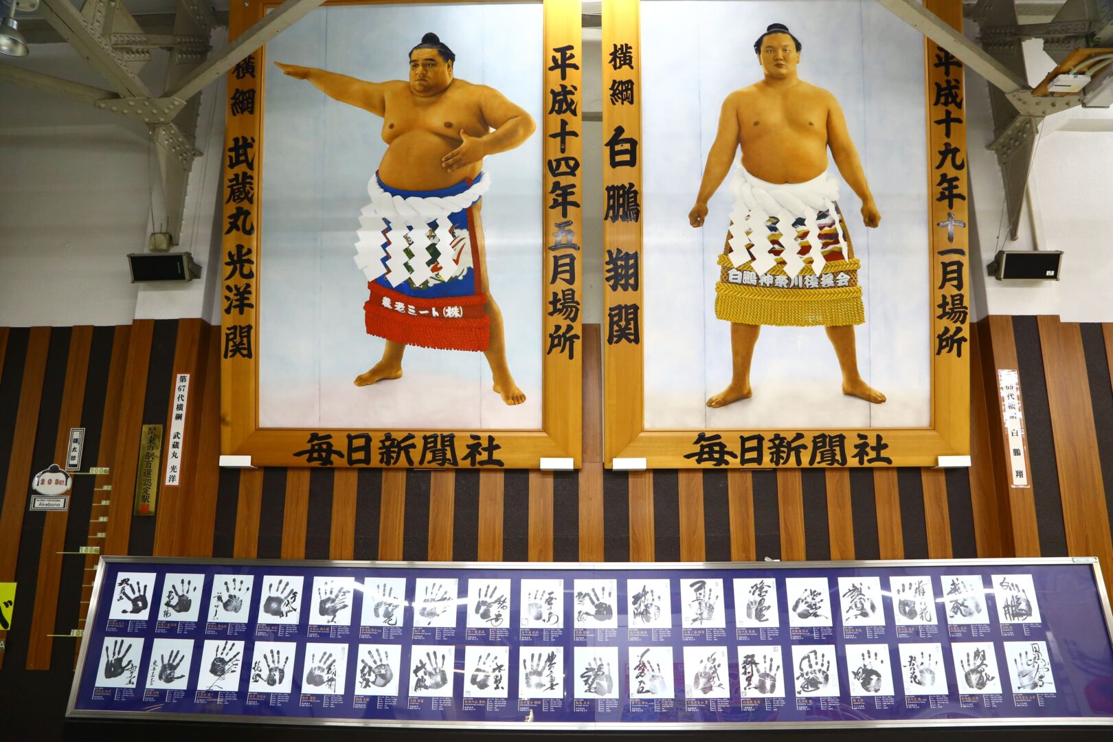 Rencontre avec un Sumo