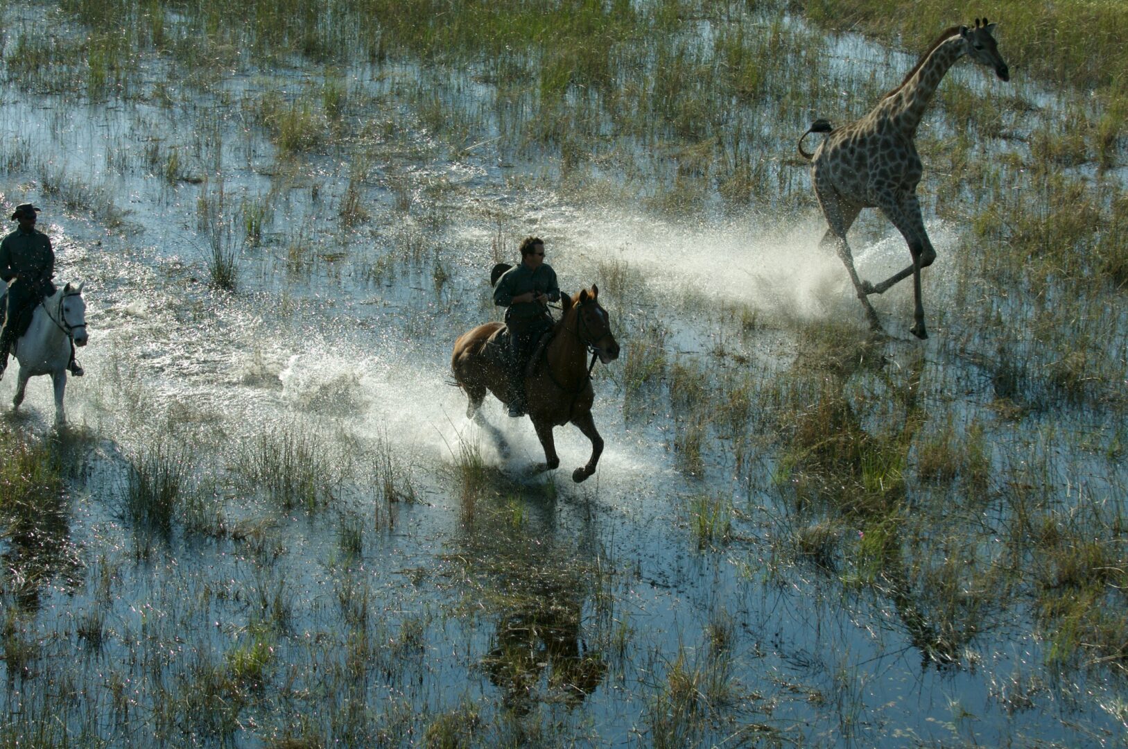 À cheval dans le Delta