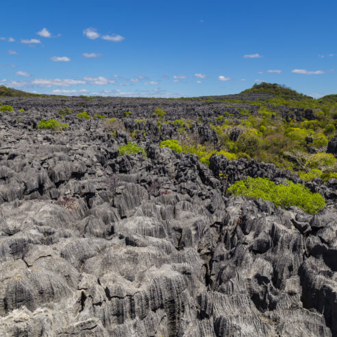 Nos expériences insolites à Madagascar