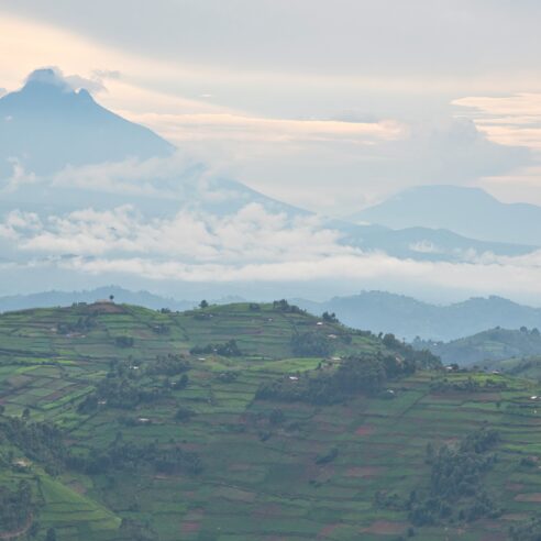 Nos expériences insolites au Rwanda