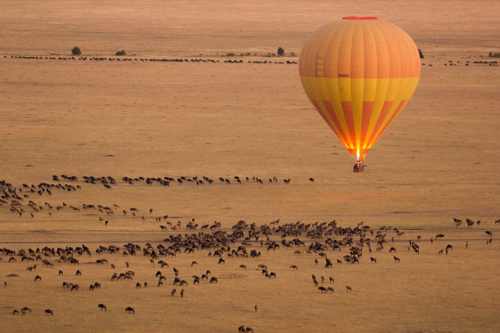 En montgolfière au-dessus du Serengeti