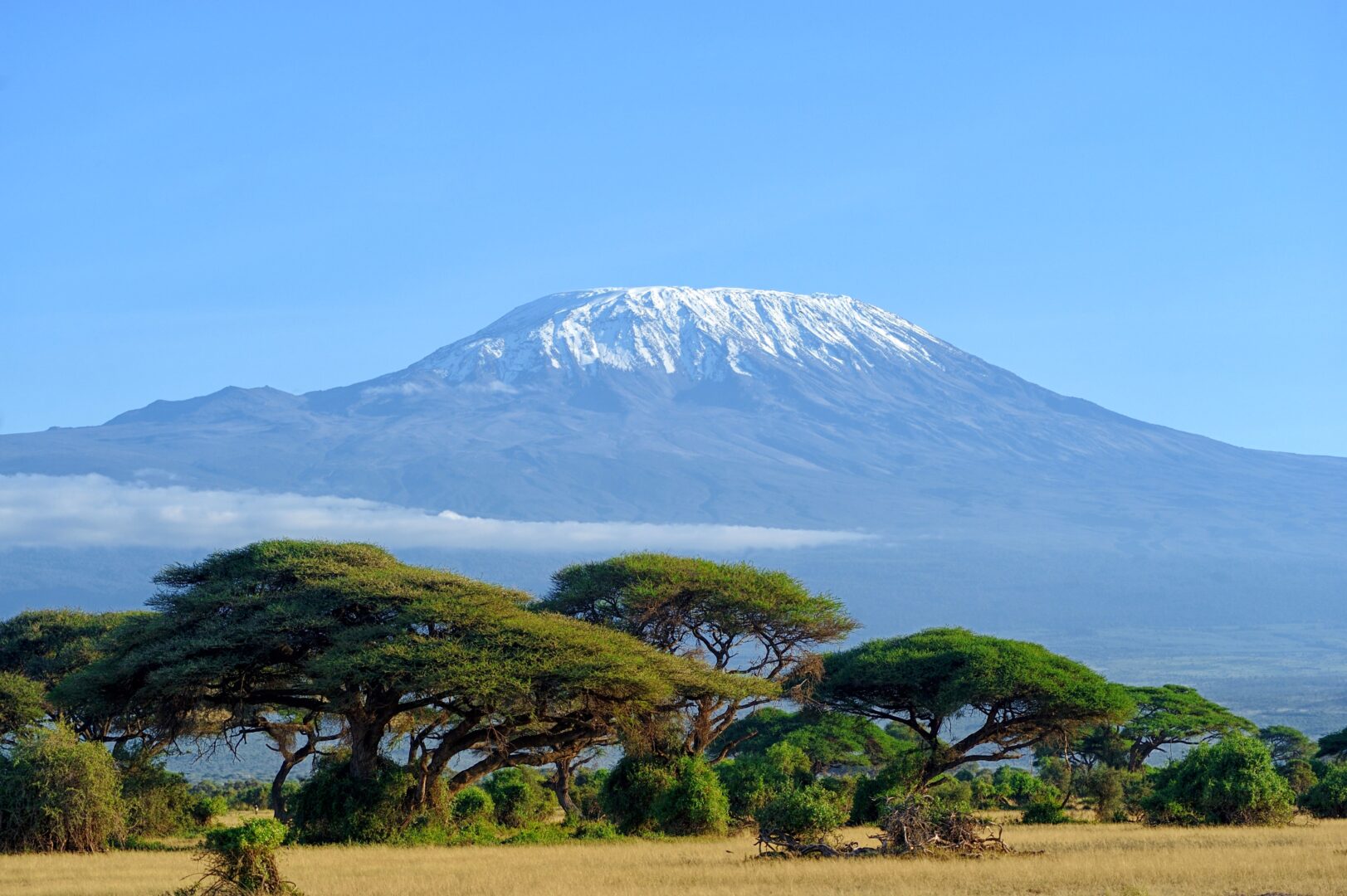 Sur le toit de l’Afrique