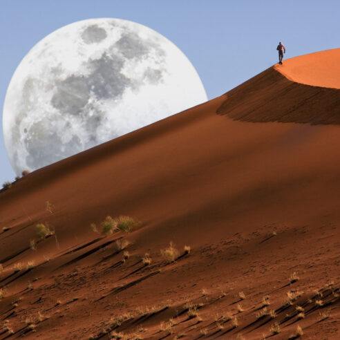 Nos expériences insolites en Namibie