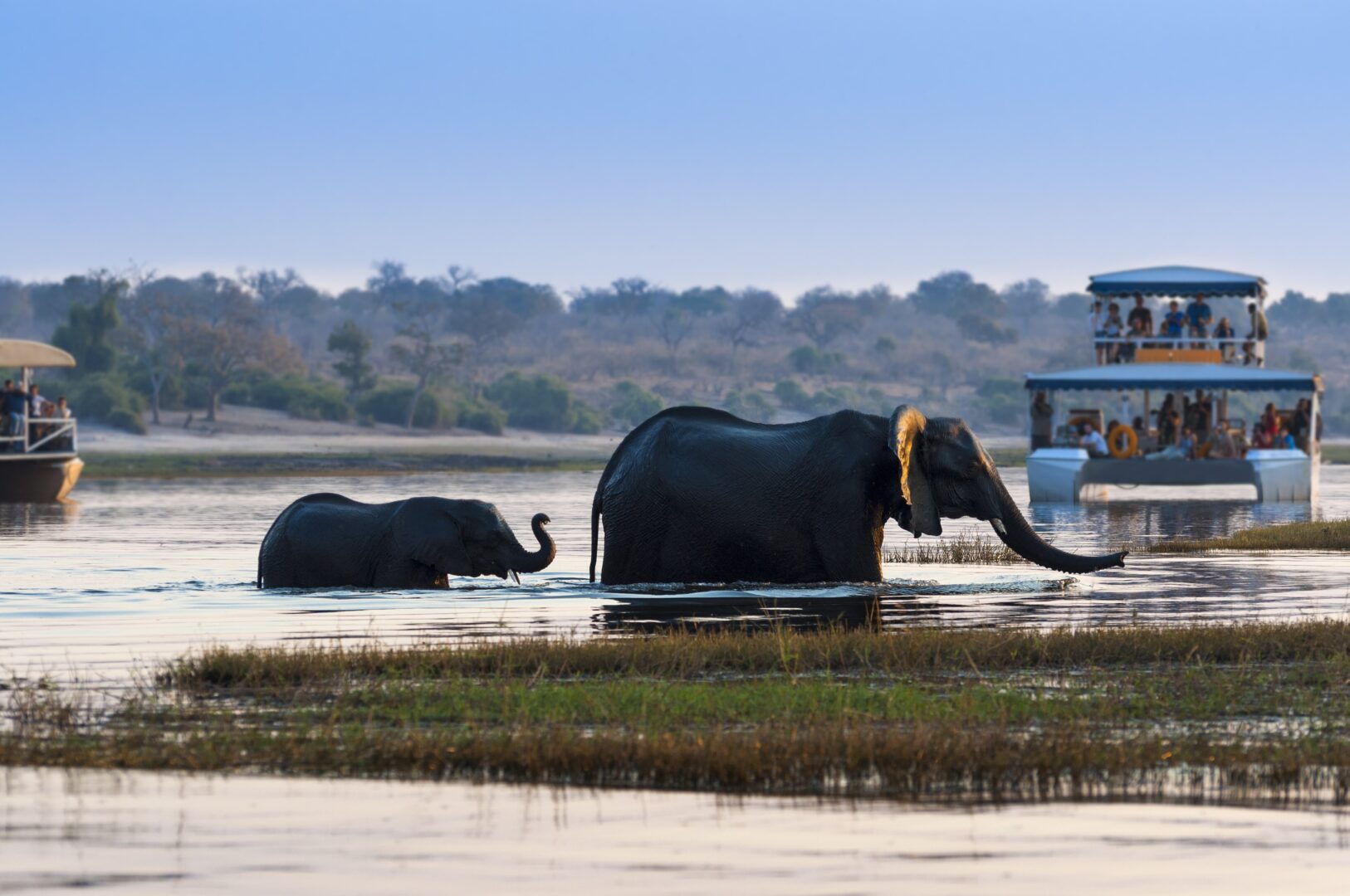 Zambezi Queen